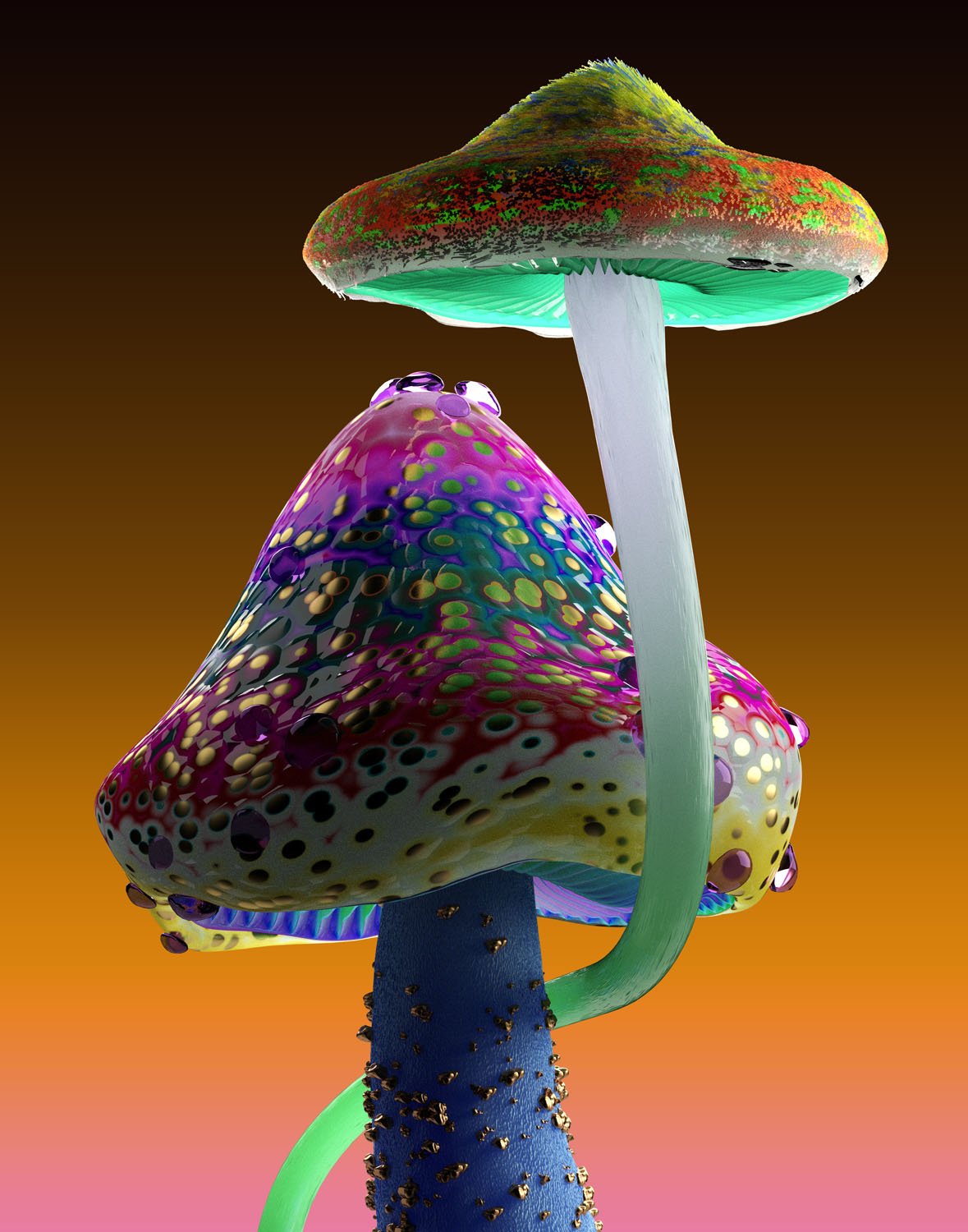 Rare Mushroom – devcsvdata