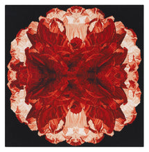 The Rug Company Poppy by Alexander McQueen