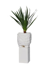 Den Holm Chippy Planter