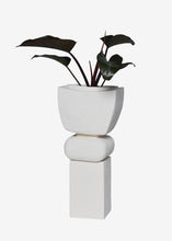 Den Holm Laura Planter